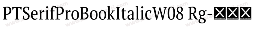 PTSerifProBookItalicW08 Rg字体转换